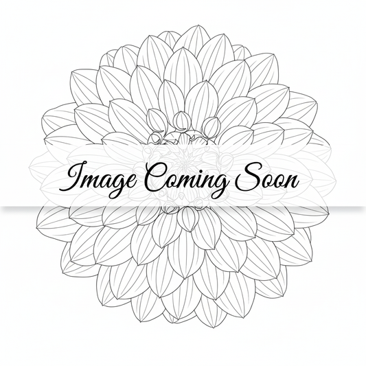 Black outline dahlia with Image Coming Soon